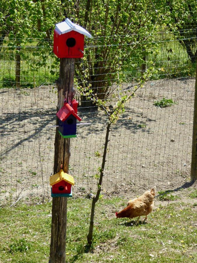 Agriturismo Bottega Di Rosanna Castagnole delle Lanze Kültér fotó