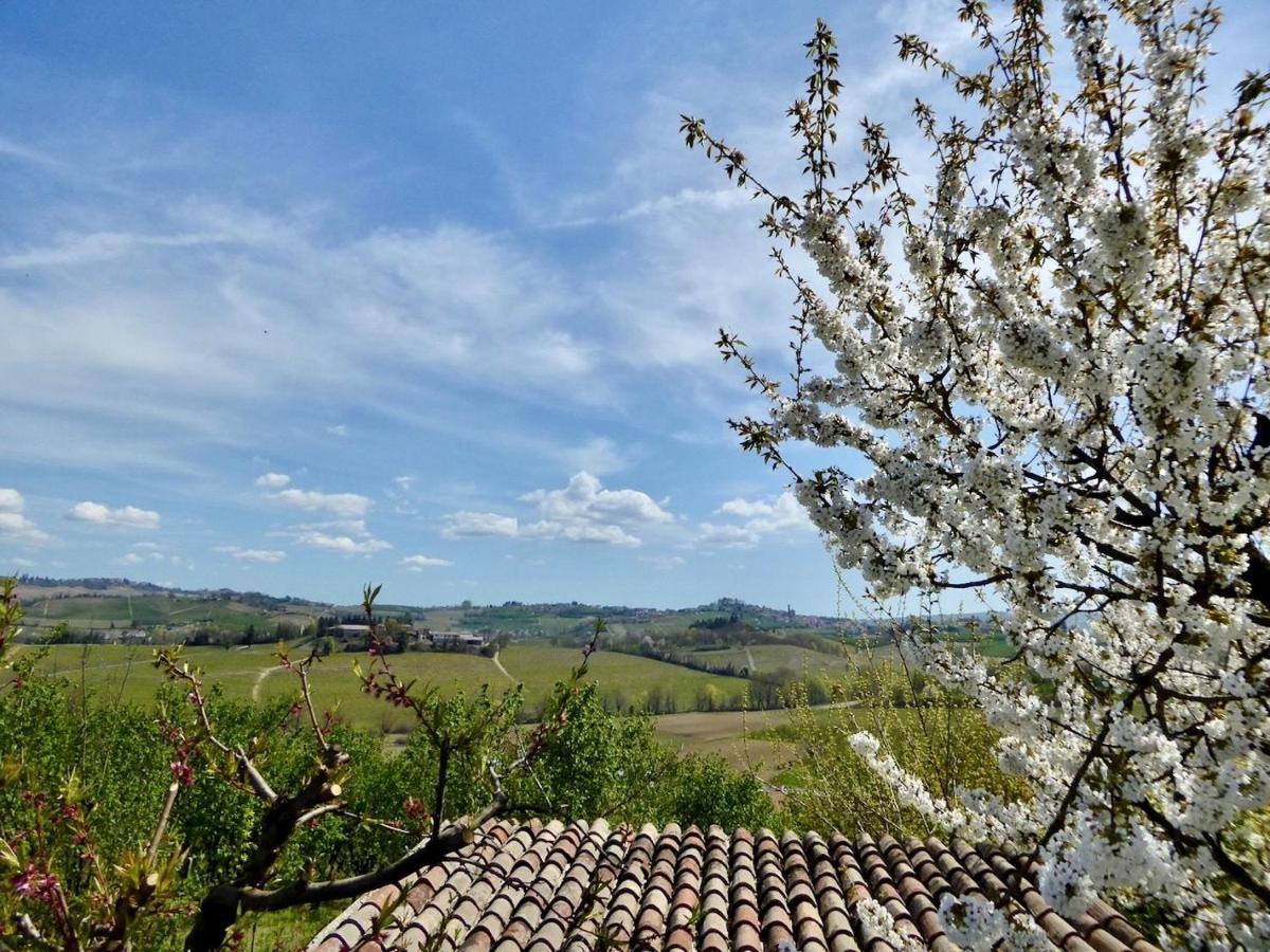 Agriturismo Bottega Di Rosanna Castagnole delle Lanze Kültér fotó